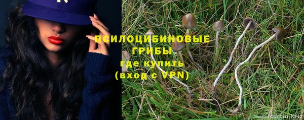 кокс Абаза