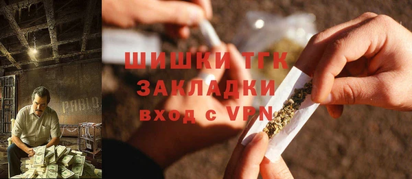 шишки Корсаков
